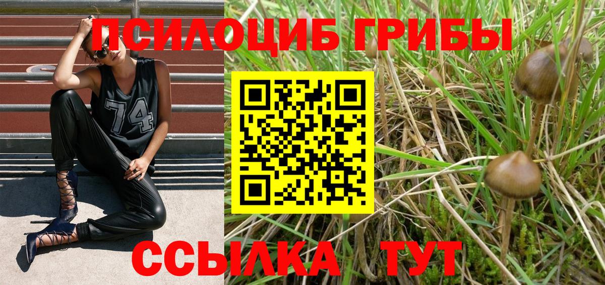 Ставрополь  Галлюциногенные грибы MAGIC MUSHROOMS  Вход с VPN 